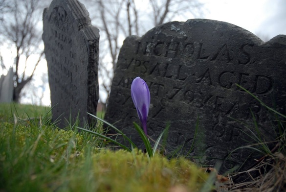 boston headstone