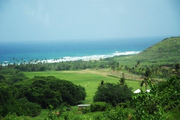 Barbados view